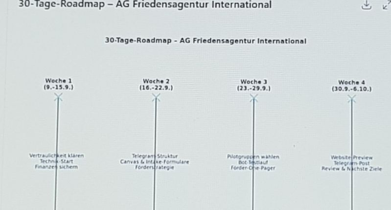 30-Tage-Roadmap f AG FriedAg international.jpg